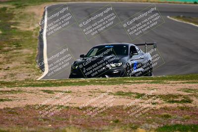 media/Feb-25-2024-Speed Ventures (Sun) [[b9a2a97a4d]]/Mustang Drivers Club/Session 3 (Turn 2)/